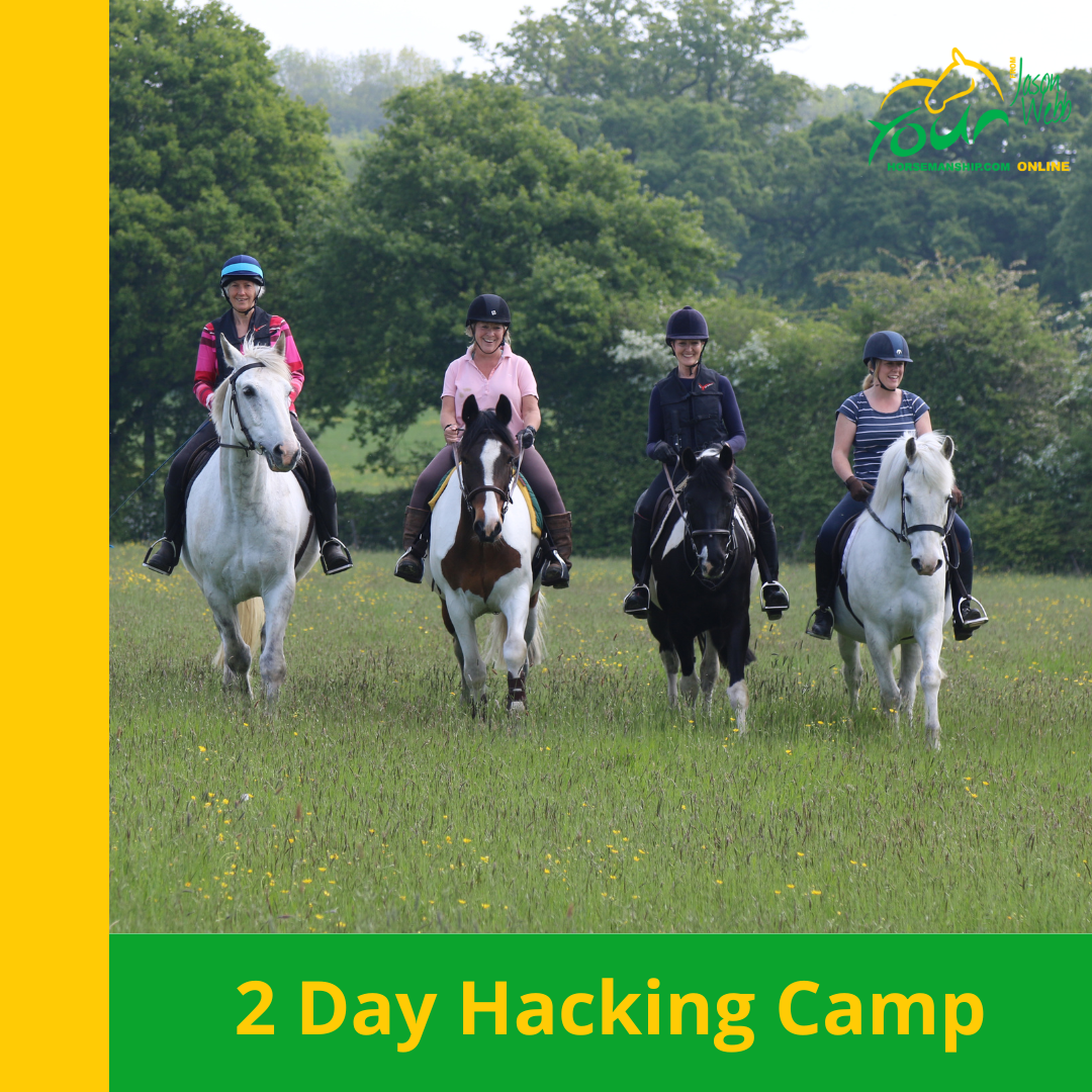 Spring Hacking Camp