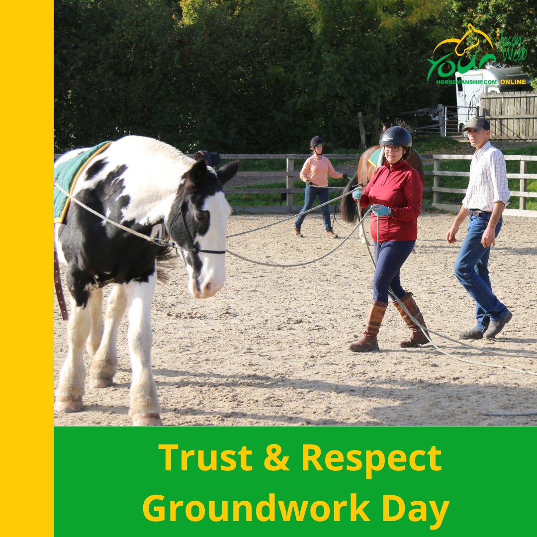 Trust and Respect Groundwork Course Day