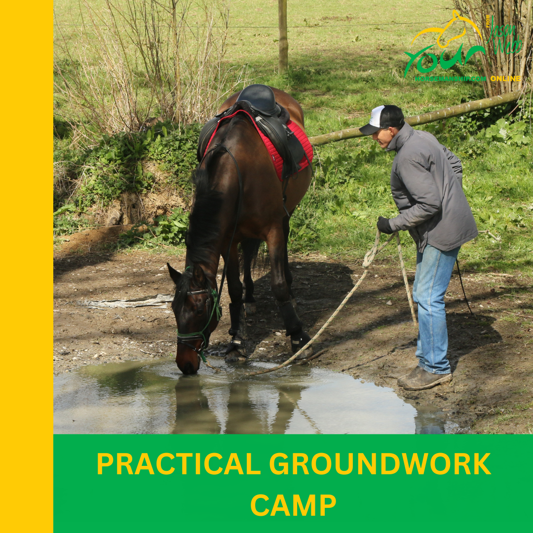 NEW FOR 2025! Practical Groundwork Camp